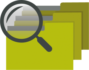 The Search Engine