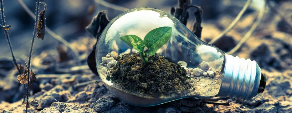 Go Green with Sustainable Document Management