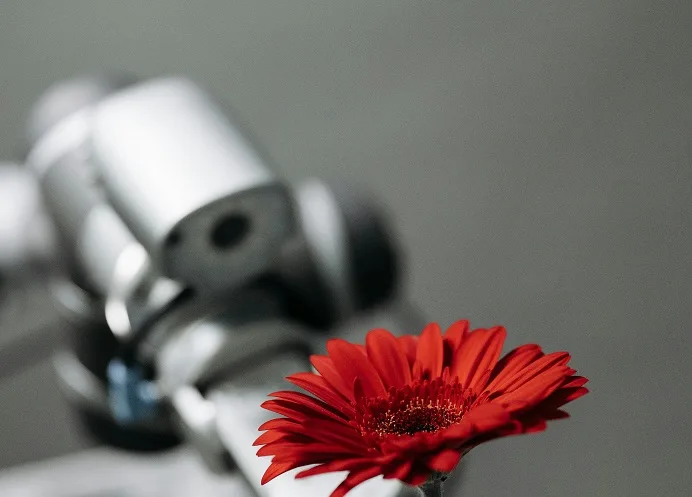 business process automation software