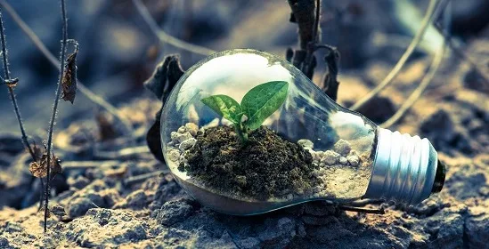 introduction to document management sustainability and green initiatives