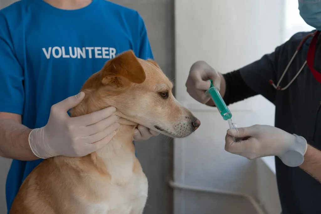 document management for charities